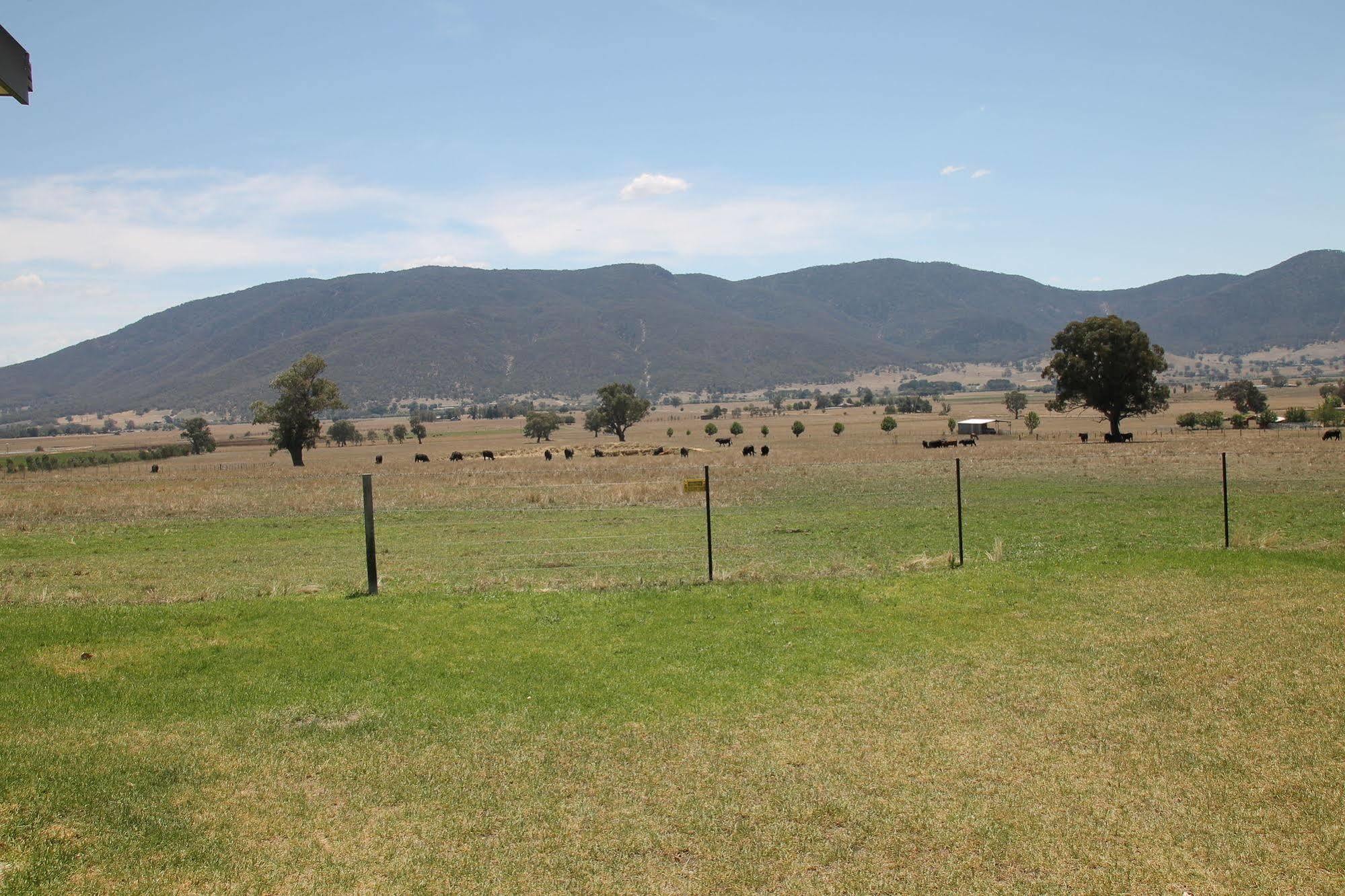 Mountain View Motel Corryong Exterior photo